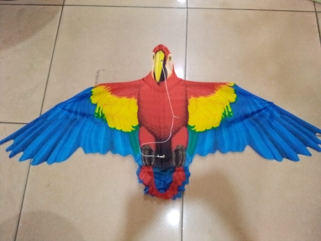 IMG_20230811_092244_553