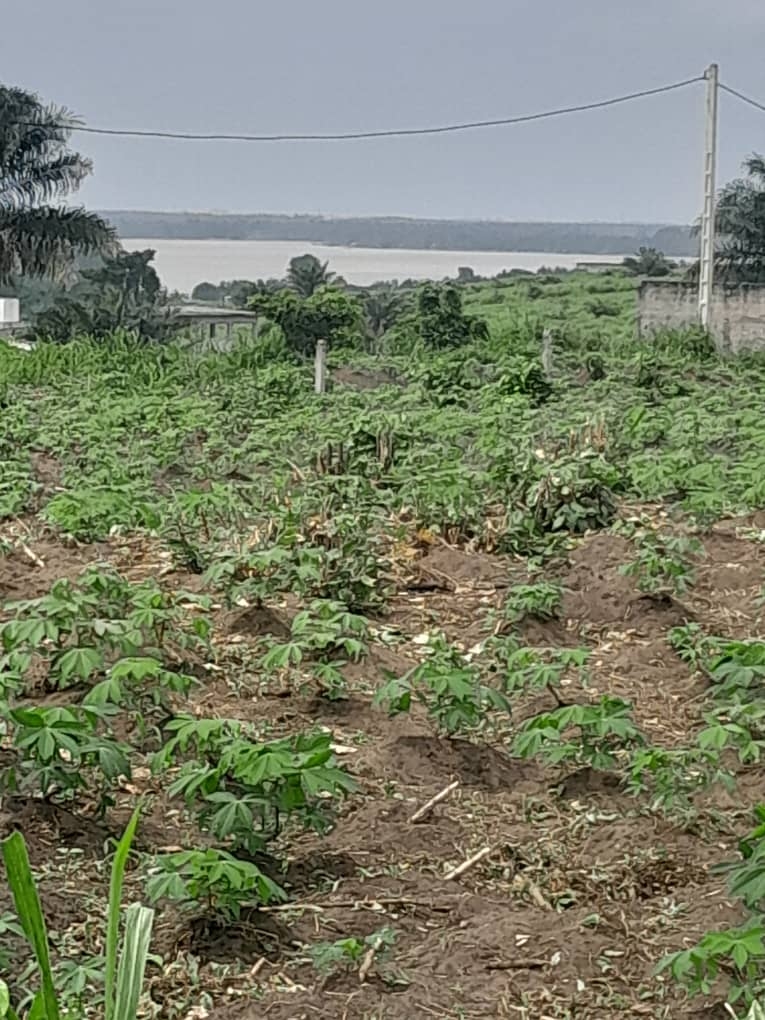 ea87f67c-7b6a-45b0-9f59-9de0db435623