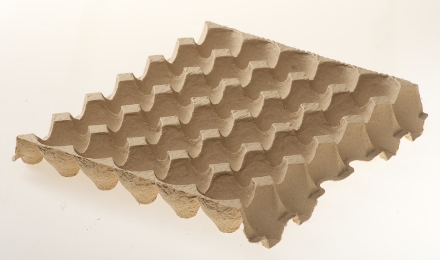 egg-tray-line