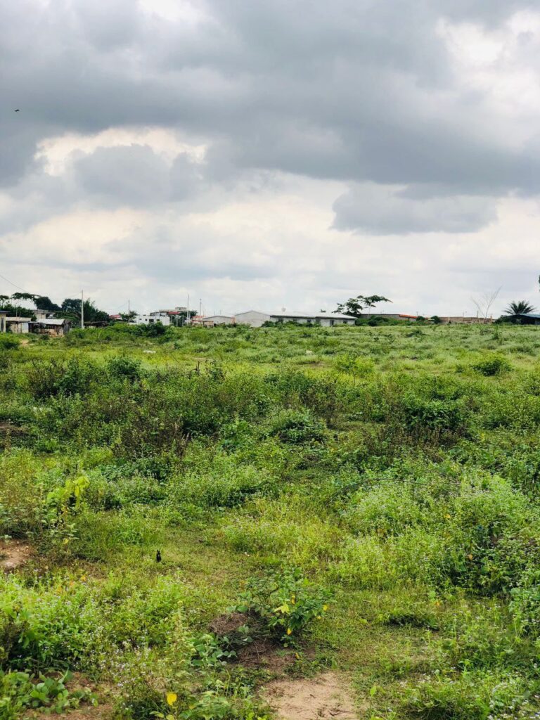 photo_2023-08-17_11-58-11