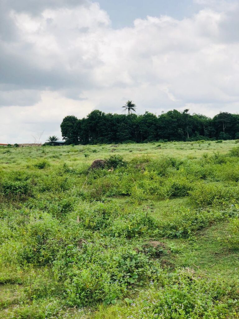 photo_2023-08-17_11-58-21