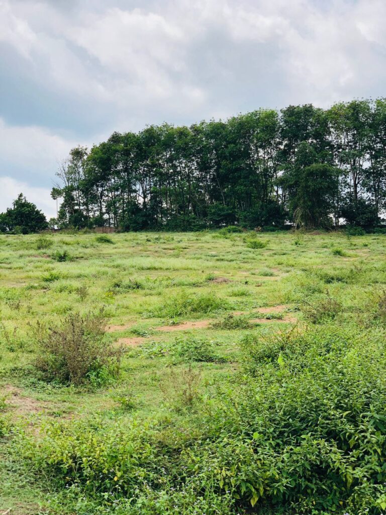 photo_2023-08-17_11-58-31-1