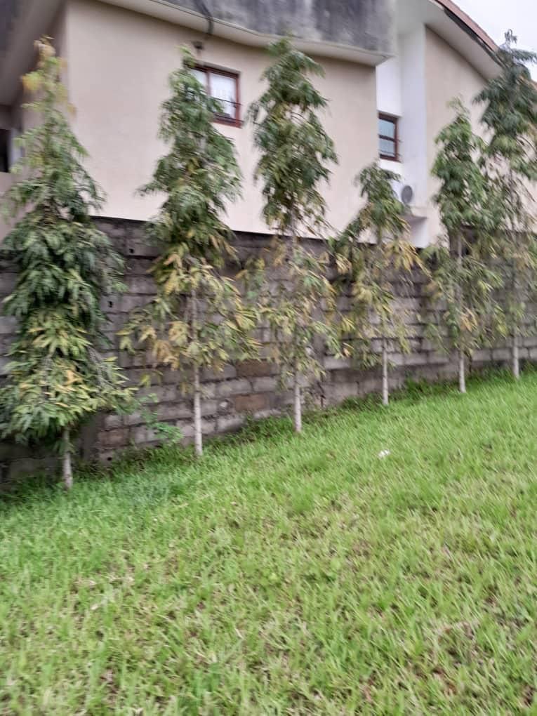 photo_2023-08-18_09-26-37