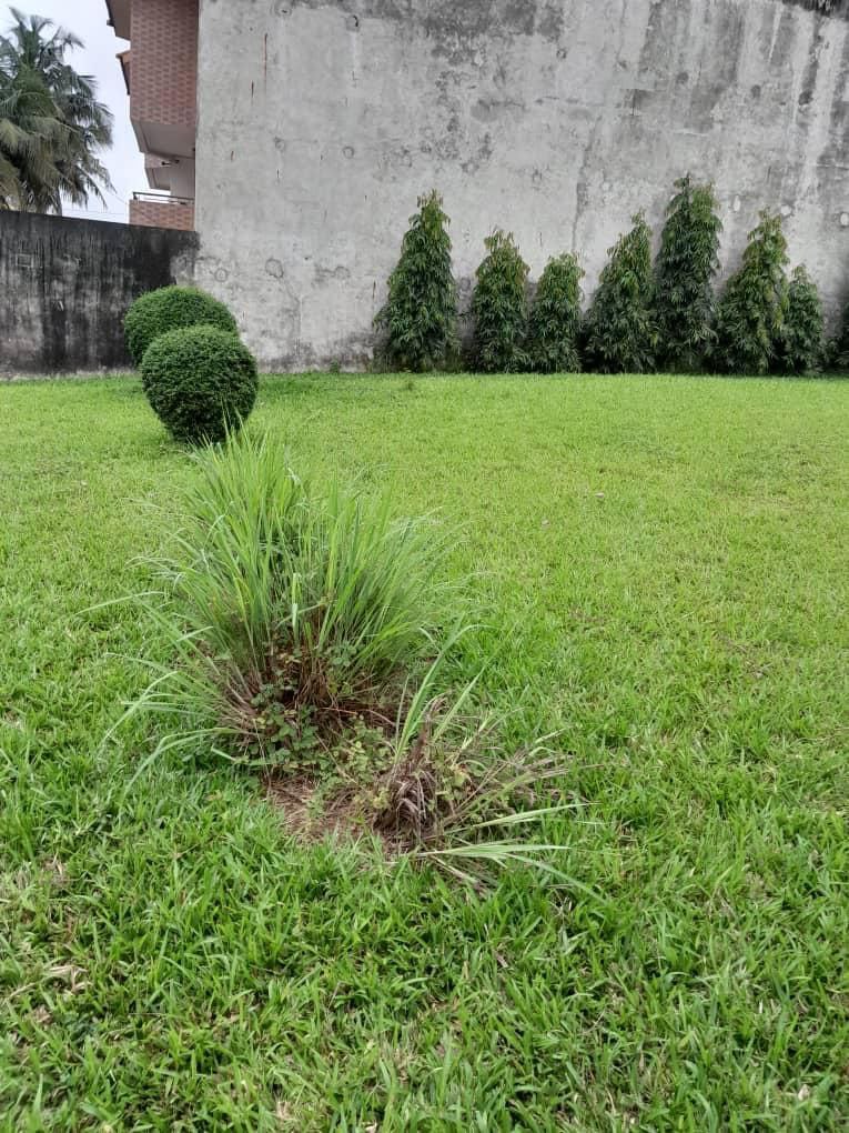 photo_2023-08-18_09-27-25