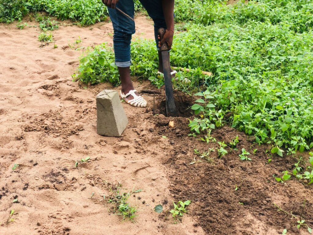 photo_2023-08-22_08-29-36