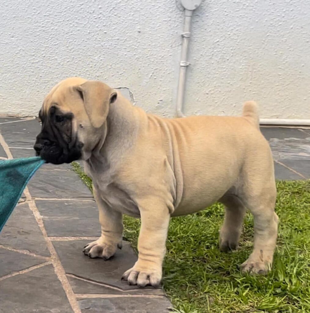 64F15A7F-8B47-4BCA-8A8E-33D9A6F3E06E