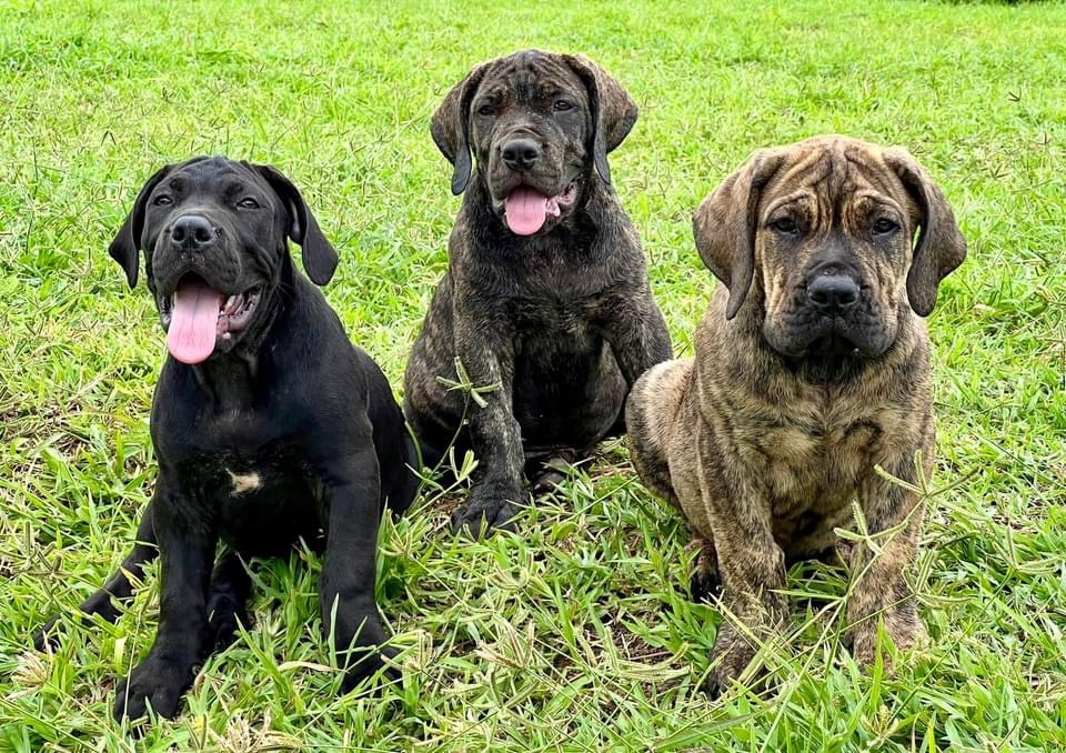 6EE119A5-4969-4C9E-8A9C-7BD381848015