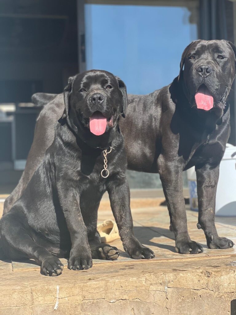 CD9DF1F3-E256-4335-8434-046549A5E9B3