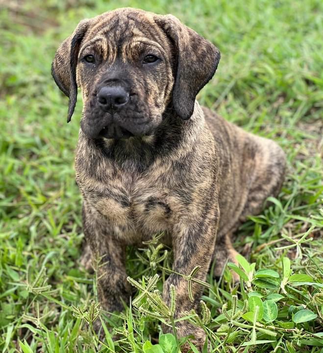 F1AB6202-EF45-4582-B026-92BDB6200CF7