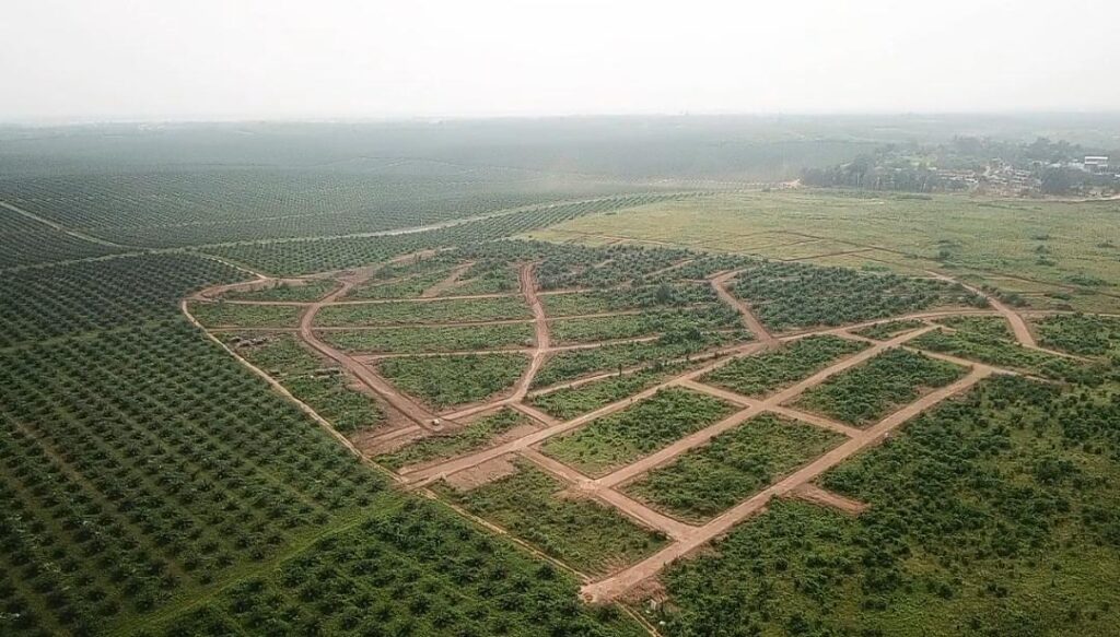 WhatsApp-Image-2022-03-18-at-16.24.57-2