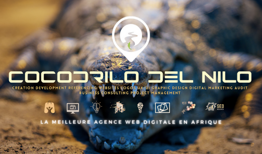 agence-web-digitale-cocodrilo-del-nilo-creation-de-site-web-logo-e-commerce-sur-mesure-marketing-social