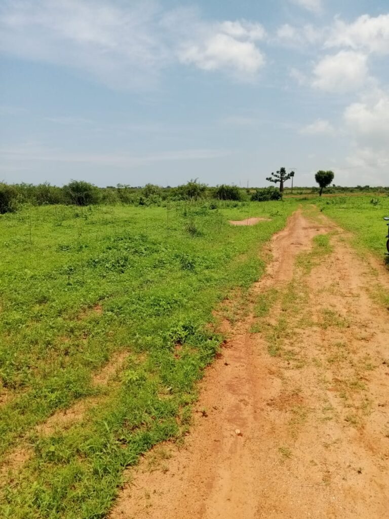 lots-de-10-terrains-de-300-m2-Guereo-4