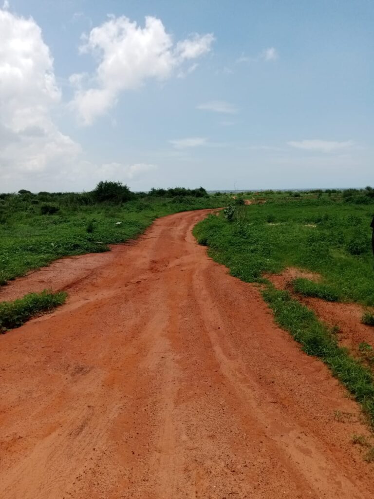 lots-de-10-terrains-de-300-m2-a-Guereo-3