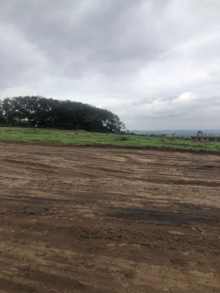 photo_2023-09-04_09-51-27-1