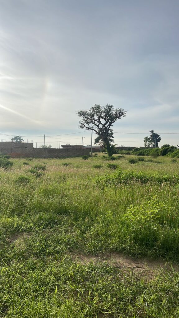 terrain-de-225-m2-a-Saly-JO-3-keur-youngar-B