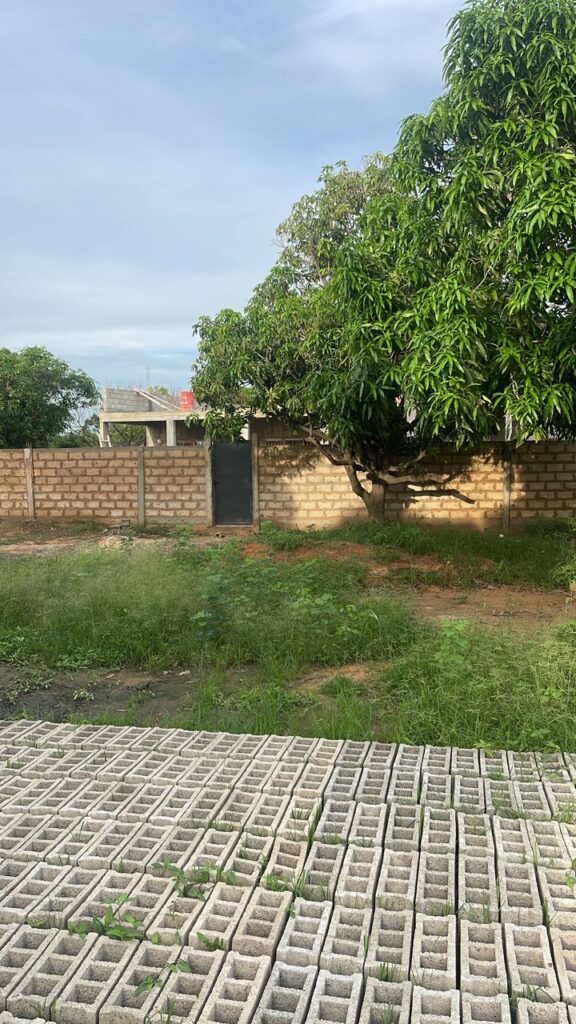 terrain-de-225-m2-a-saly-joseph-1-keur-youngar-A