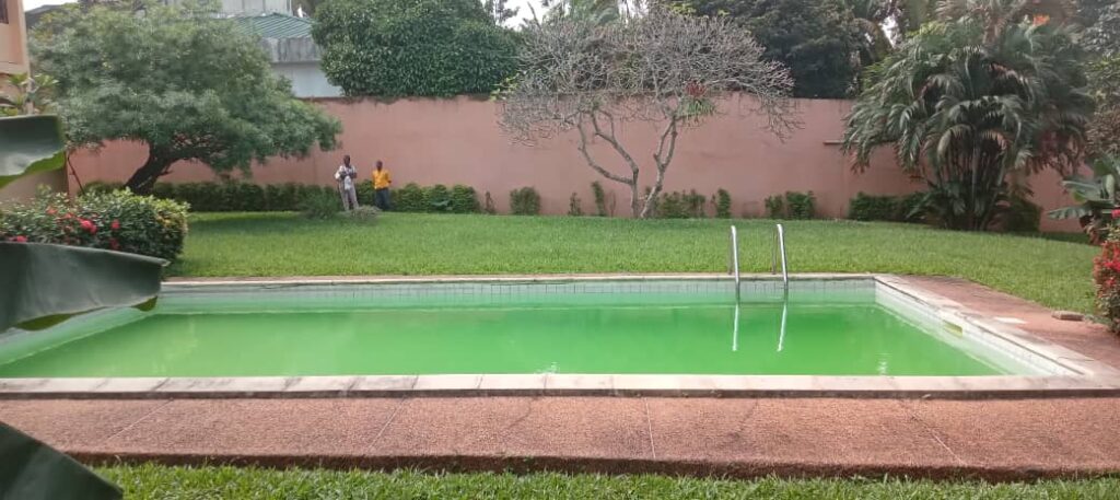 F45AE072-533D-4556-9357-75A0E4C1822B