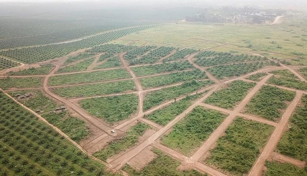 WhatsApp-Image-2022-03-18-at-16.24.57