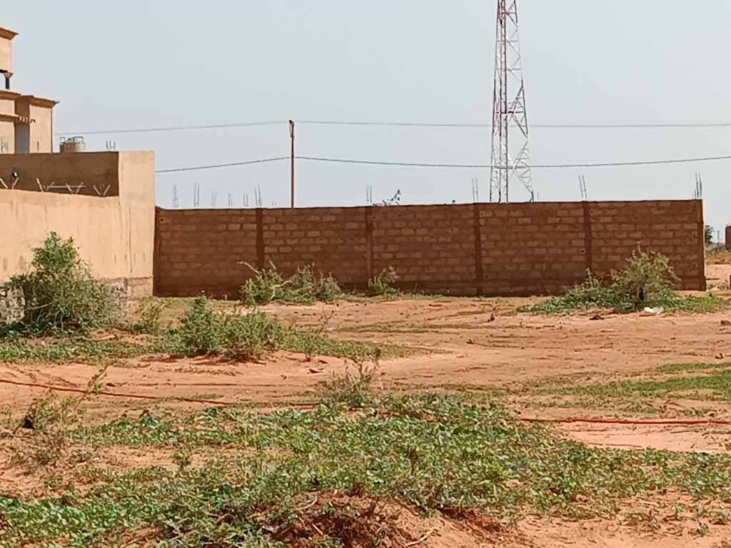 XX-IMG_20230712_155921