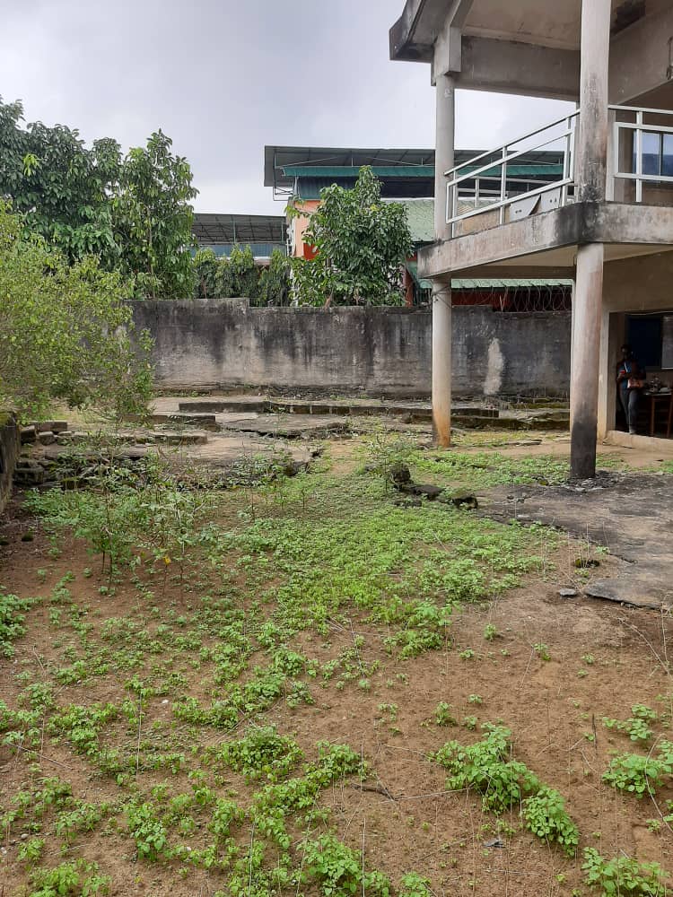 C1AE8CDA-E0E6-4B04-8434-8856F780720B