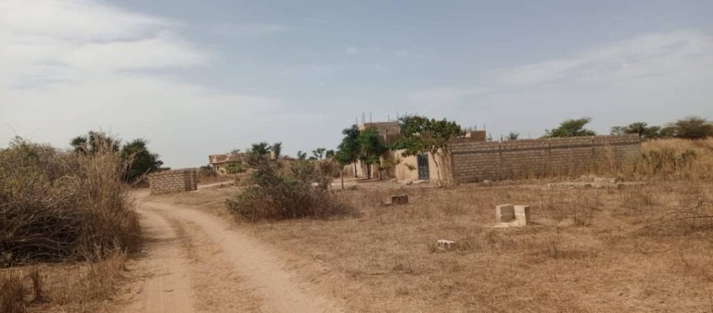 Terrain-300-metres-carres-a-Malicounda-Ngongom-1