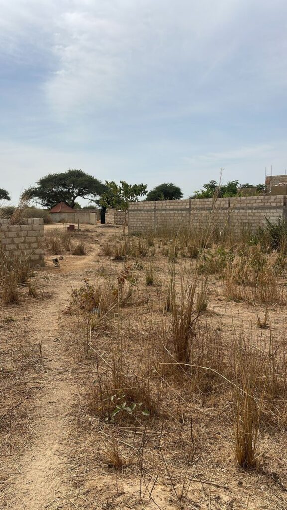 Terrain-300-metres-carres-a-Malicounda-Ngongom-2