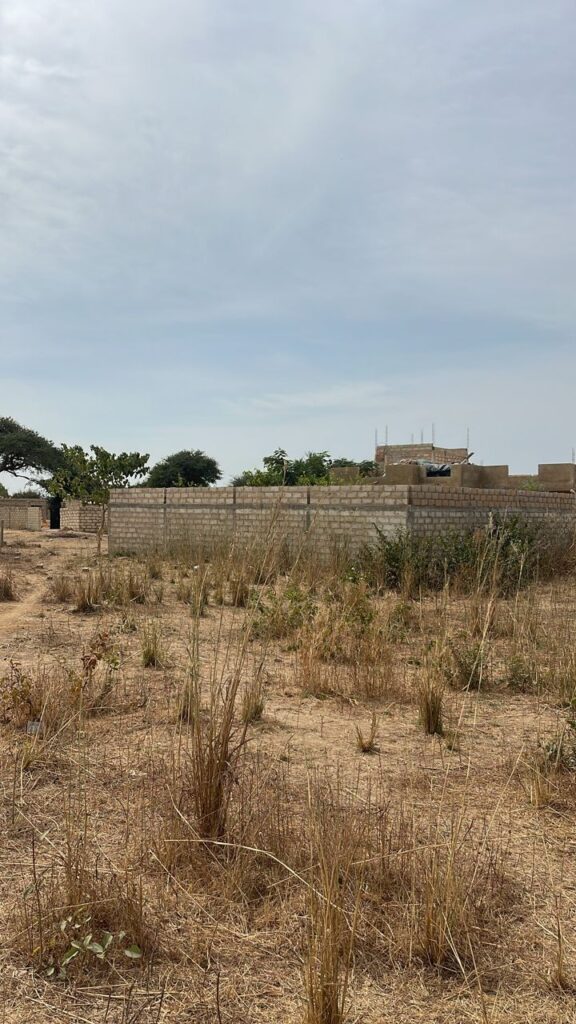 Terrain-300-metres-carres-a-Malicounda-Ngongom-3