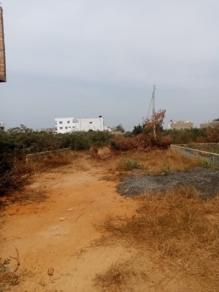 Terrain-300-metres-carres-a-Saly-golf-1