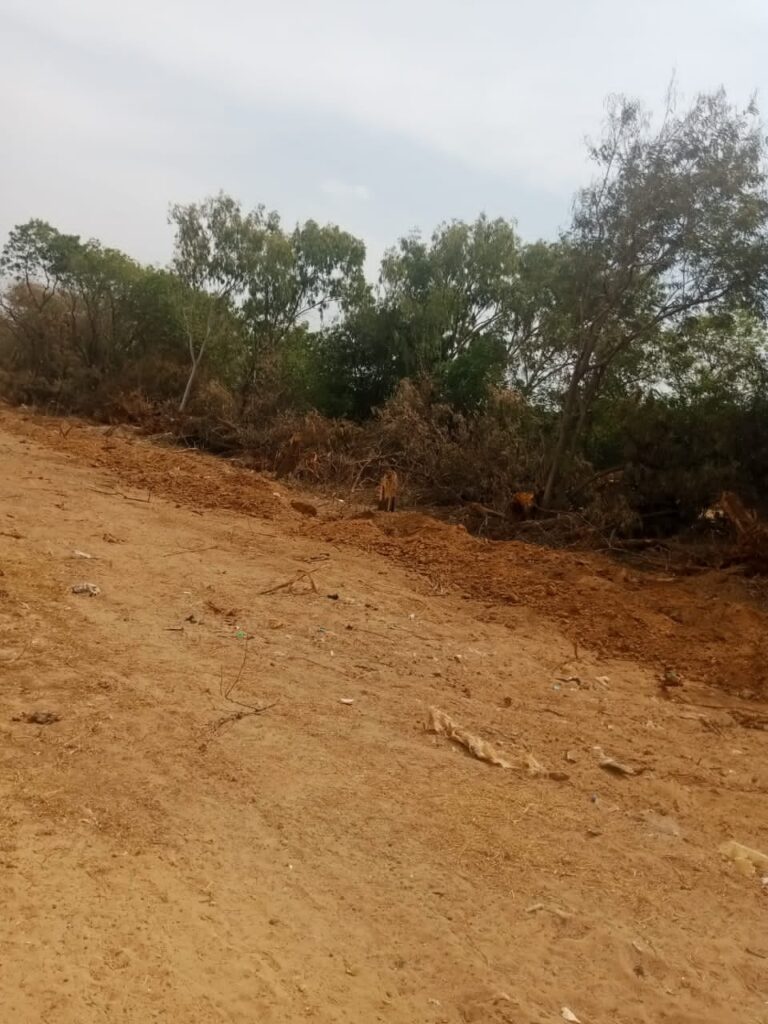 Terrain-400-metres-carres-a-Saly-Golf-2