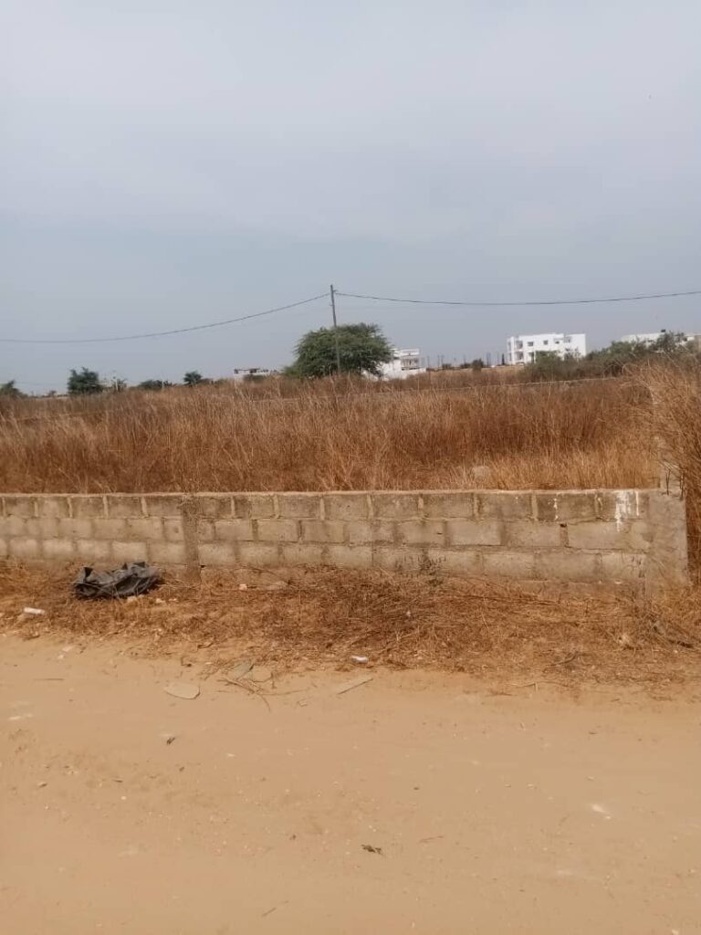 Terrain-400-metres-carres-a-Saly-Golf-4