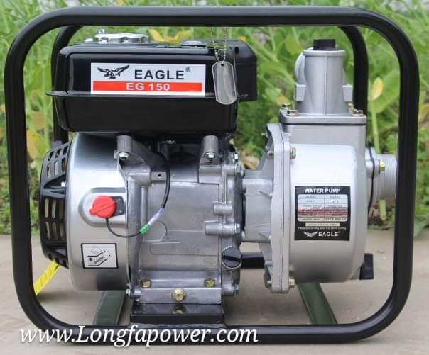 WhatsApp-Image-2024-01-22-at-11.31.13