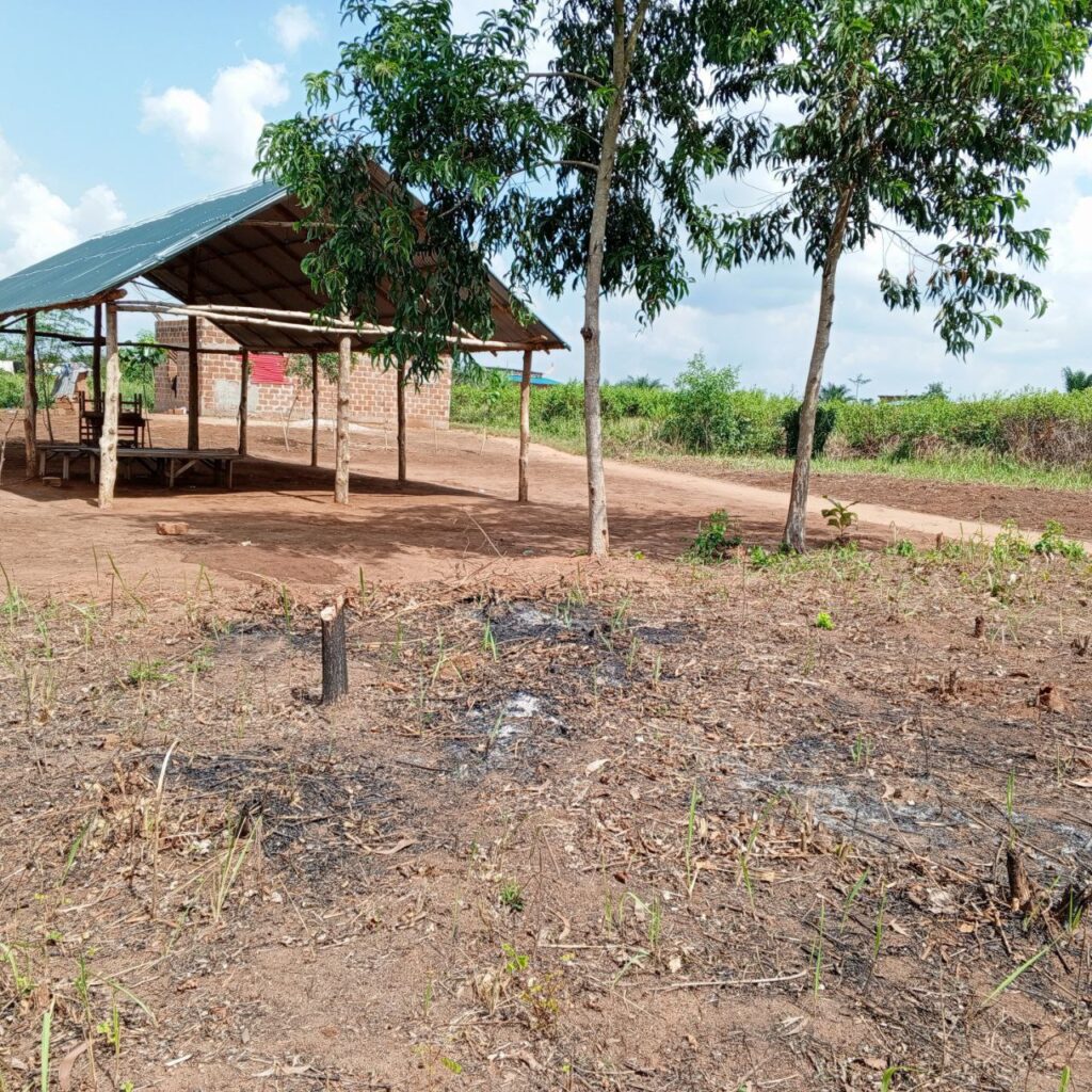 photo_5765072097217986438_y