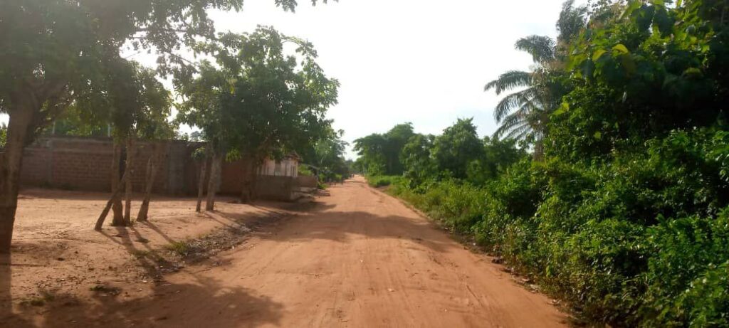 photo_5850513410645671436_y