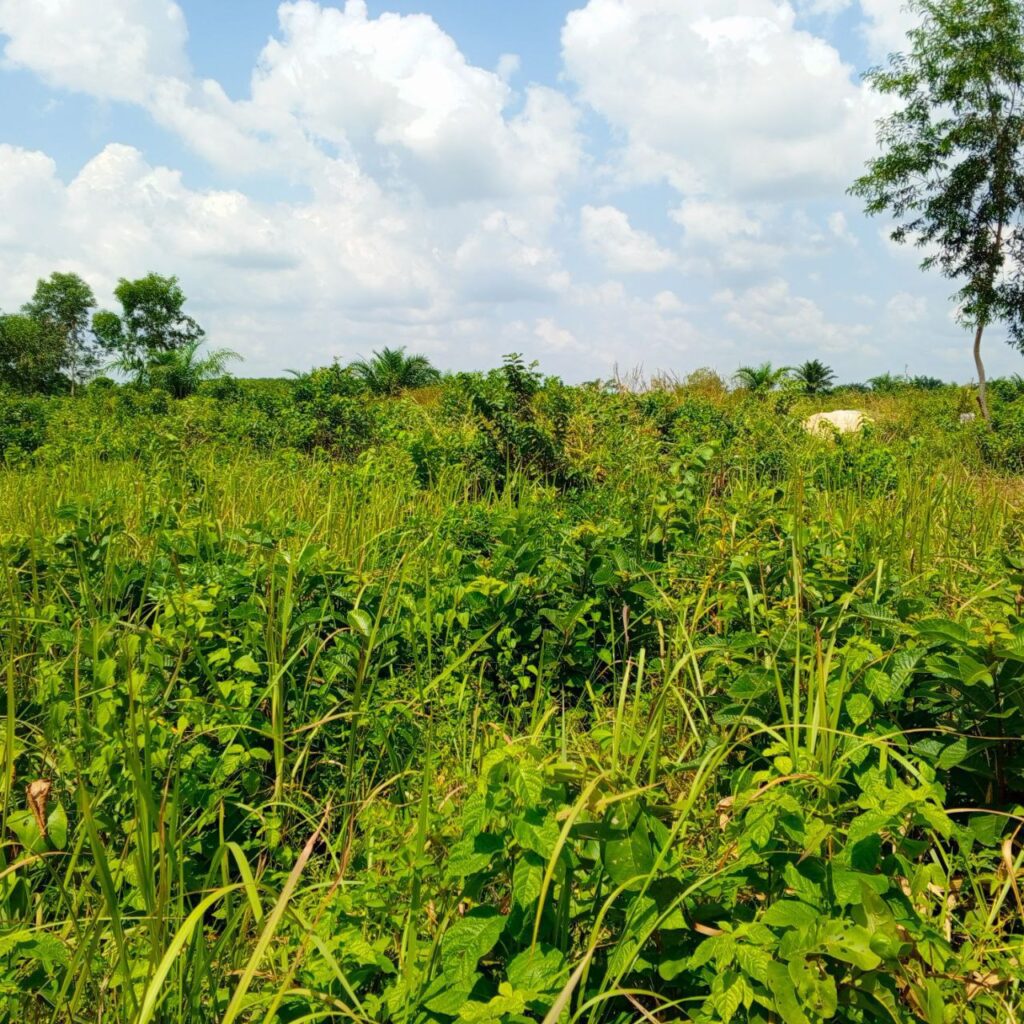 photo_5765072097217986440_y