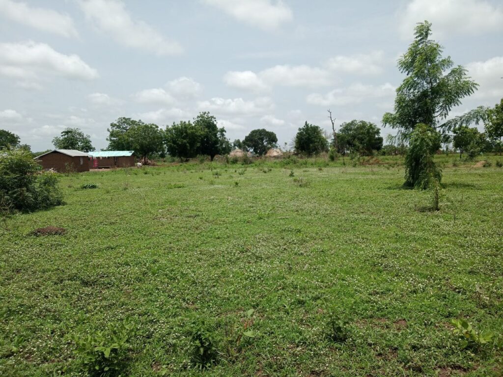 photo_5924968743191034468_y