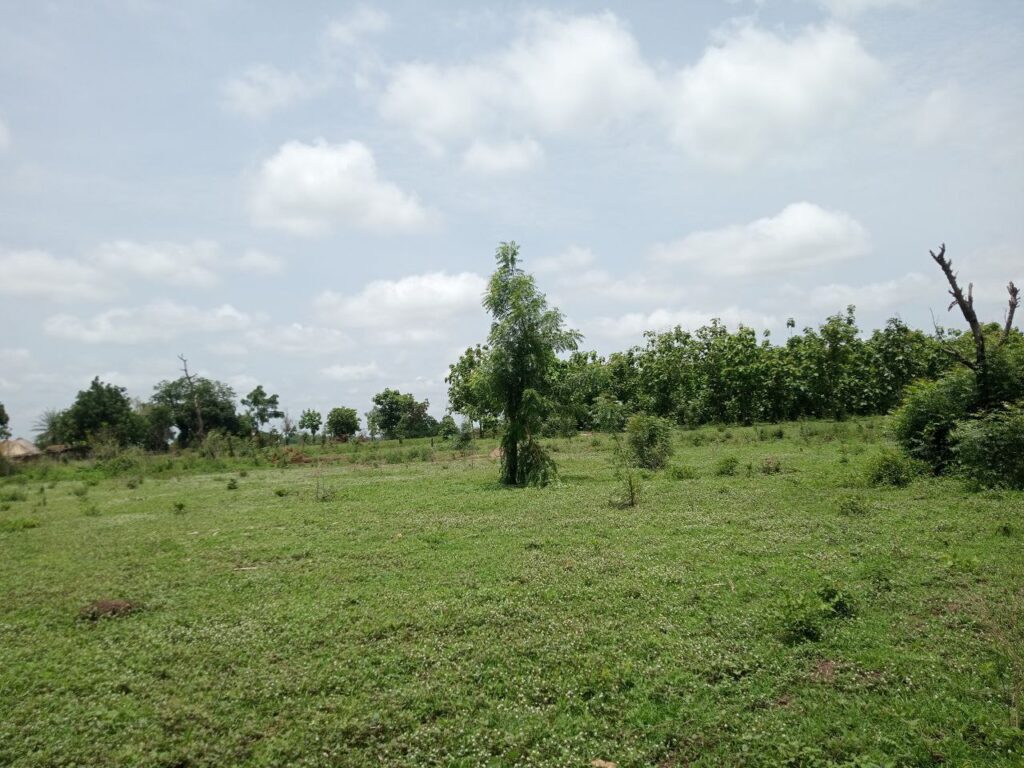 photo_5924968743191034469_y