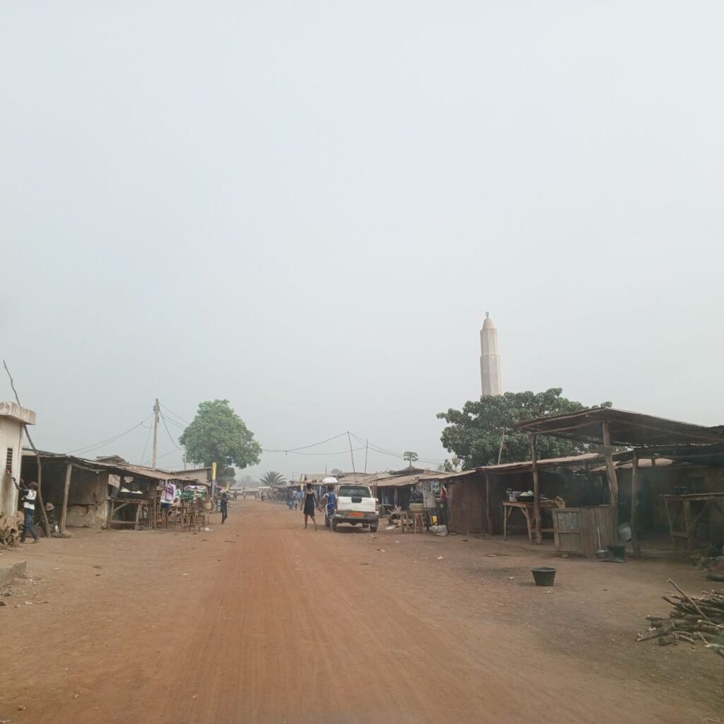 photo_5931739510025076997_y