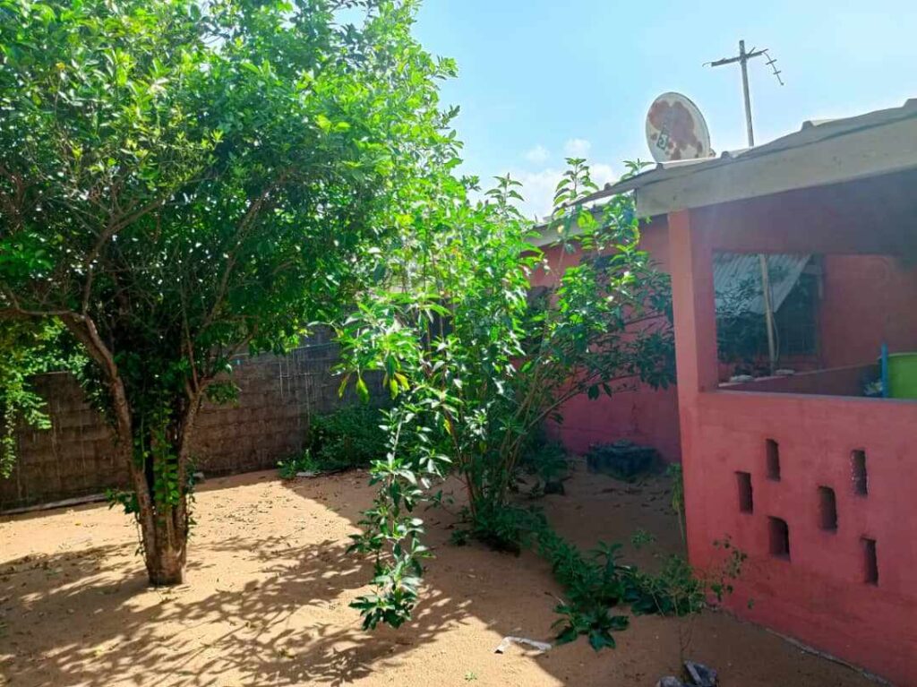 436837665_1598076721045103_4124966283116797135_n