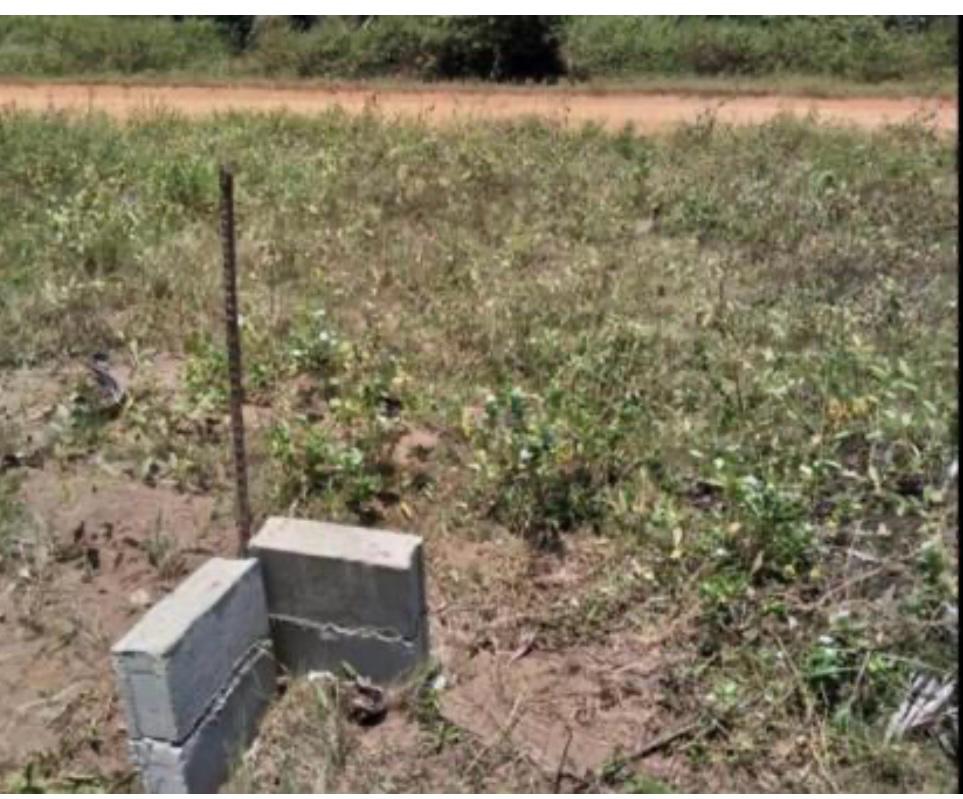 WhatsApp-Image-2024-03-12-at-10.41.49