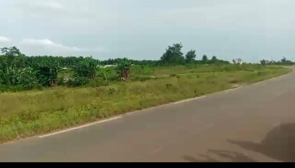 WhatsApp-Image-2024-04-19-at-15.15.22-1