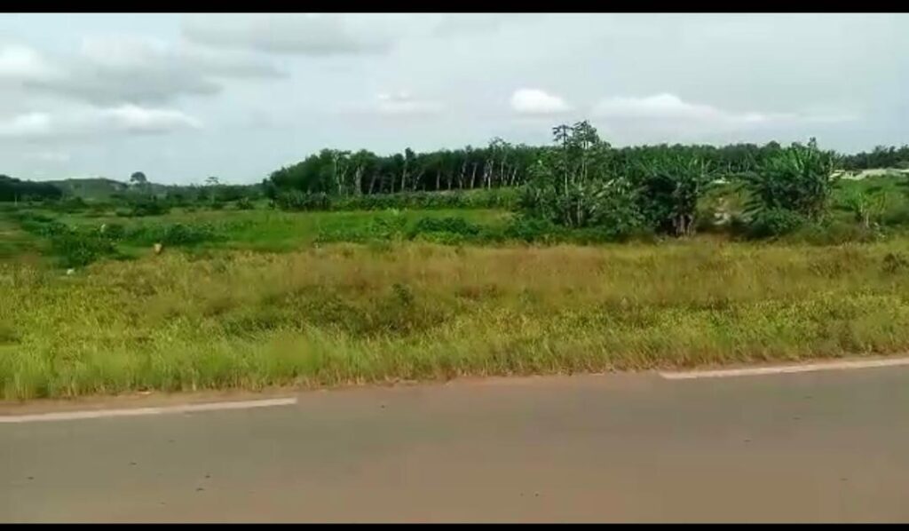 WhatsApp-Image-2024-04-19-at-15.15.22-2