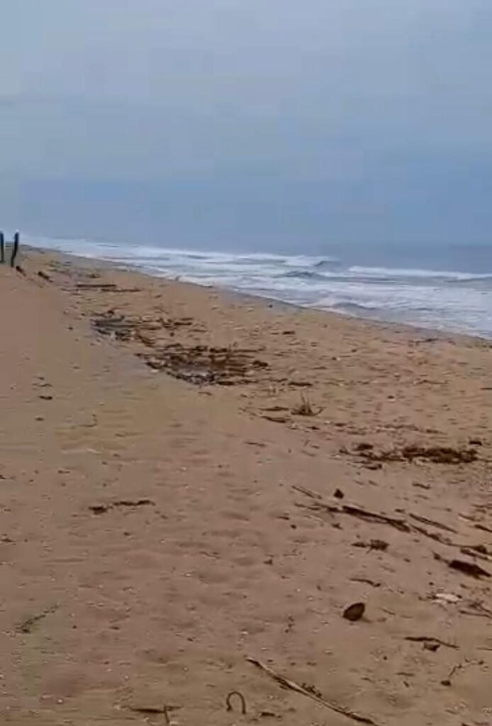 WhatsApp-Image-2024-05-07-at-14.10.15-2