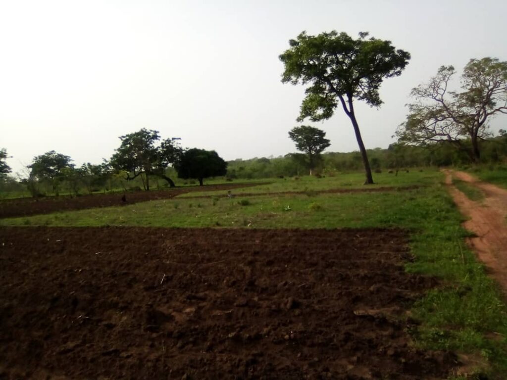 WhatsApp-Image-2024-05-24-at-4.05.22-PM-1