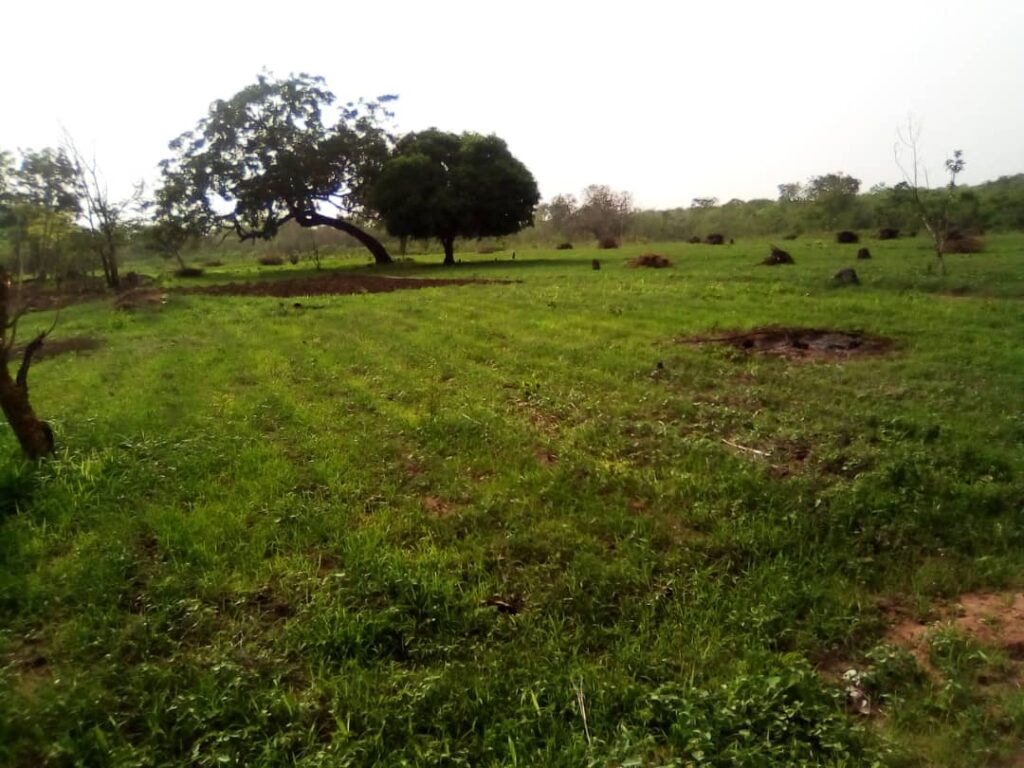 WhatsApp-Image-2024-05-24-at-4.05.23-PM