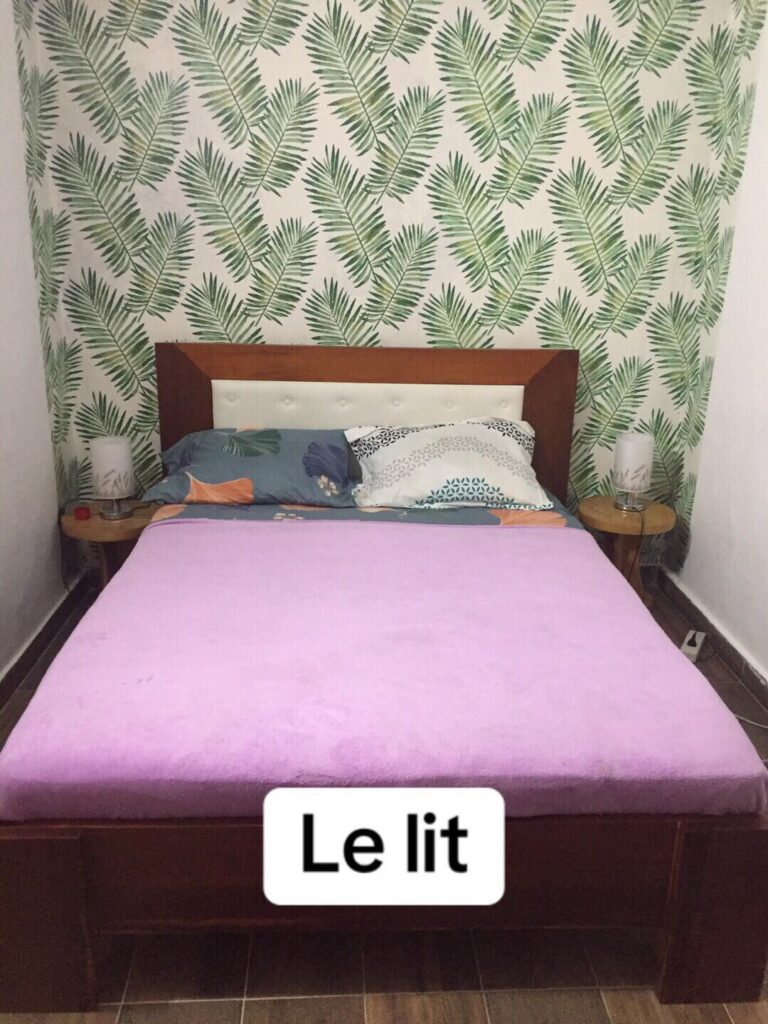 438115952_1543879846193901_6204744327967389827_n-2