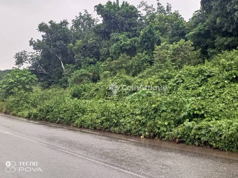 4327780_uploaded_image1_1691538060