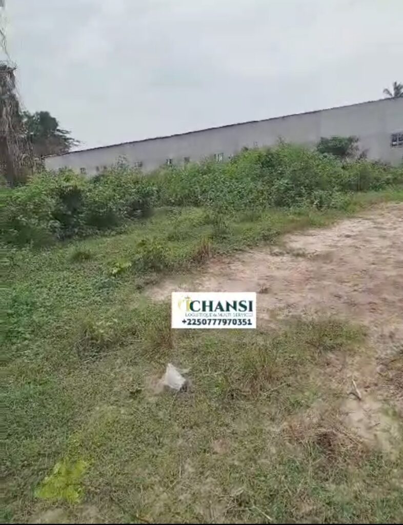 Screenshot_20240717_143054_Gallery