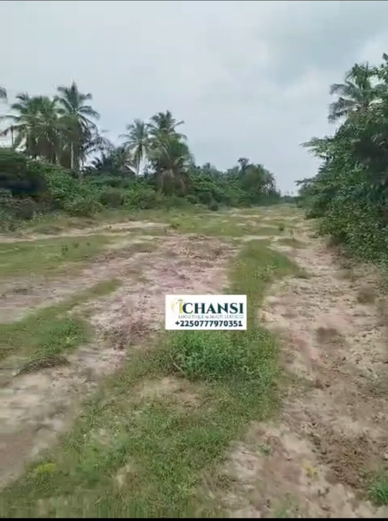 Screenshot_20240717_143057_Gallery