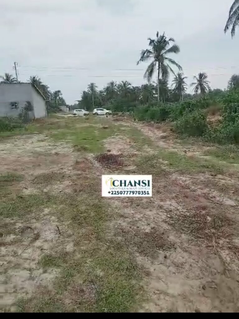 Screenshot_20240717_143103_Gallery