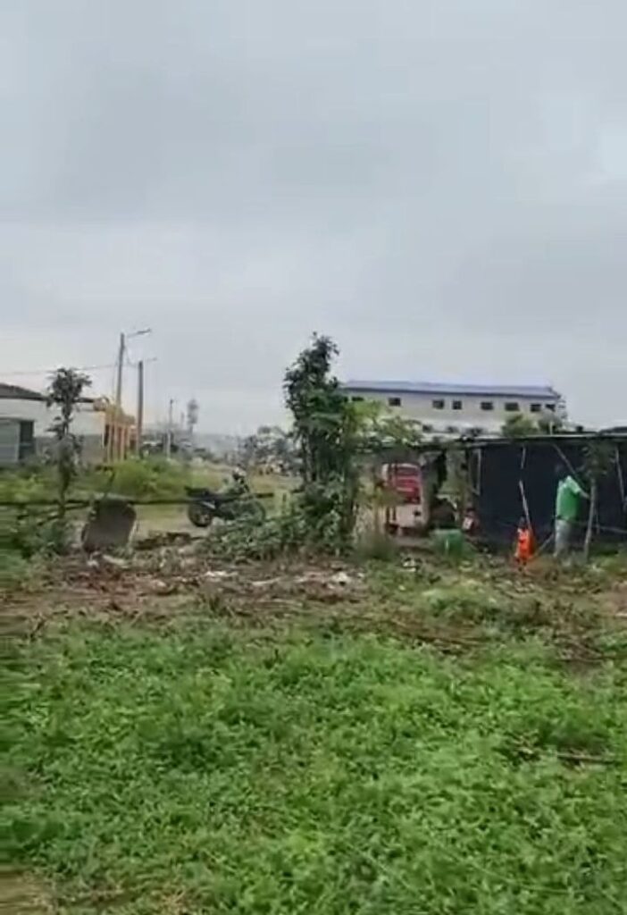 Screenshot_20240726-0818142